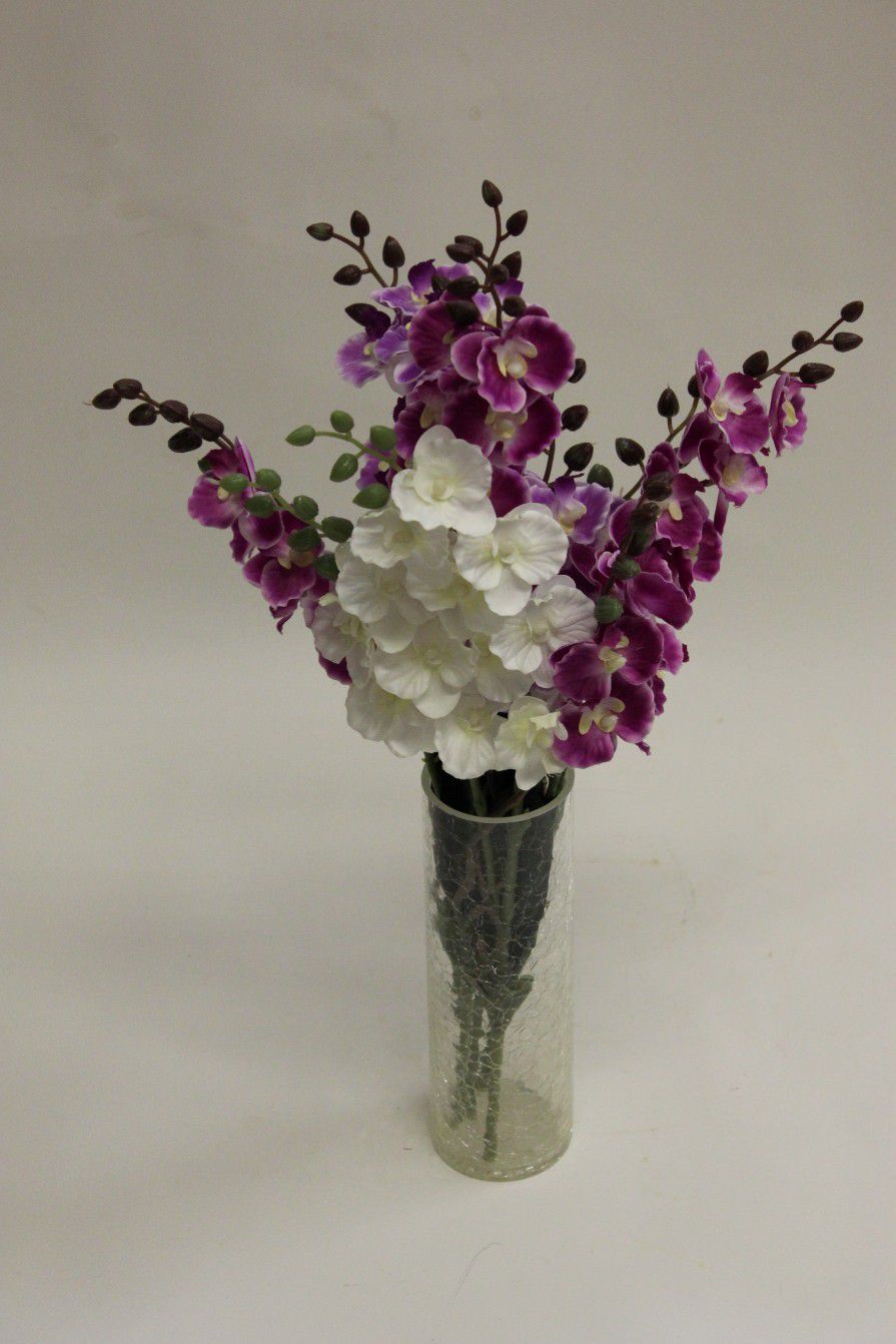 Орхидеи кустовые - Поштучная розница - Торговый дом Орхидея