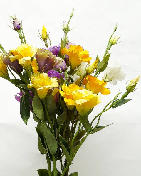 «Ветка Эустомы»