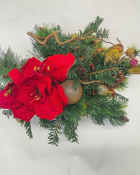 «Зимний гиеаструм»