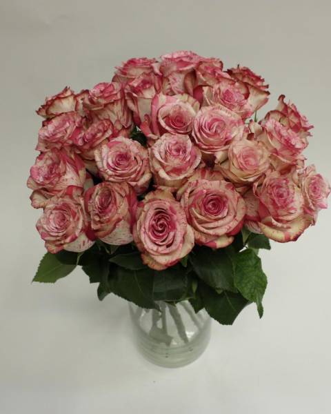 Букет из 25 роз №1 (50 см)