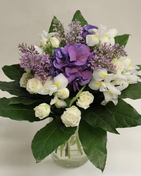 Букет «Пурпу-Леди»