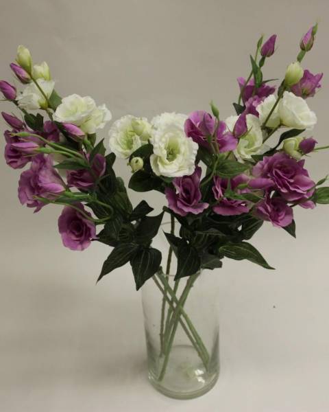 Ветви эустомы