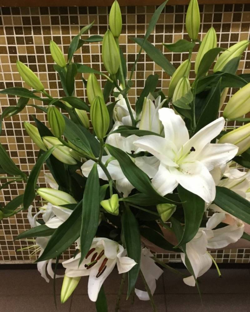 Букет «Лилия»