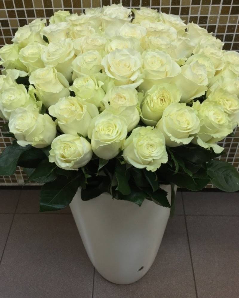 Букет роз в коробке Киев