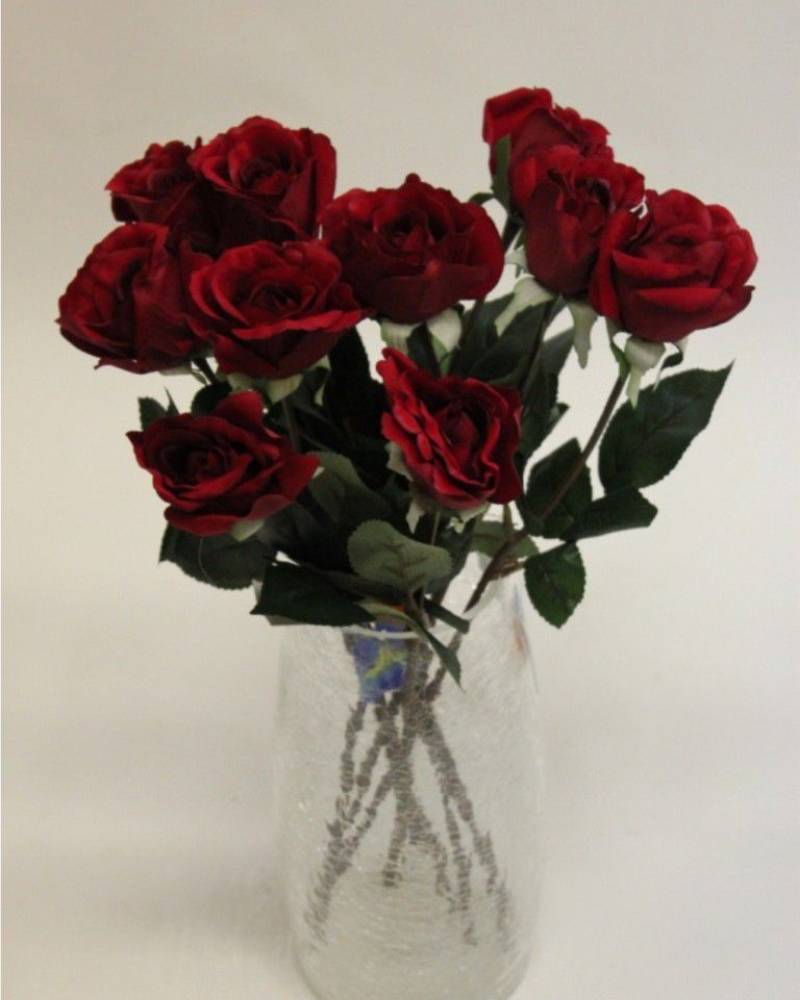 Роза бордовая «Бархатная»